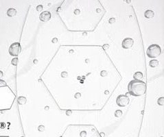 BioCeramics...