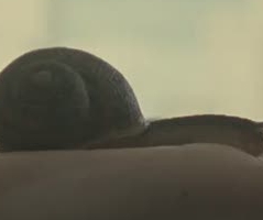 Wellnes...